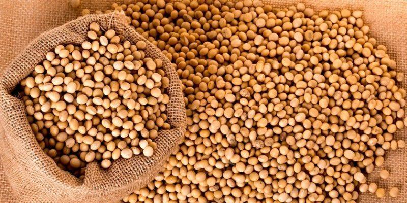 Soja: Mercado sobe nesta 3ª feira em Chicago e se ajusta antes dos números do USDA