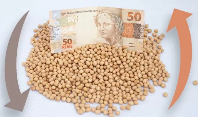 Soja: apesar de temerem novas quedas, produtores seguram seu produto
