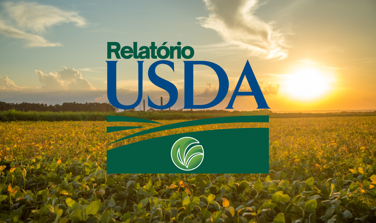 USDA estima safra global 2023/24 de soja em mais 400 milhões de t e China importando 100 mi