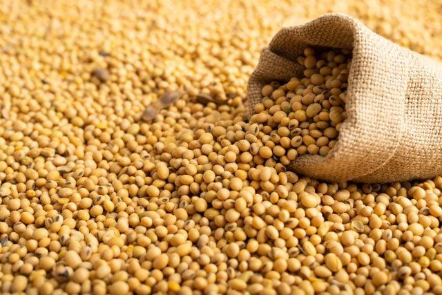 Anec reduz estimativas de embarques de soja, milho e farelo em junho