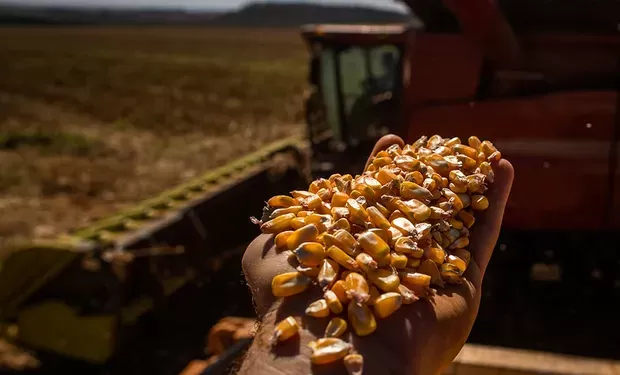 B3 abre a quarta-feira com futuros do milho no campo positivo