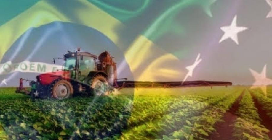 Em 10 anos qual será o tamanho do agro brasileiro? E do MS?