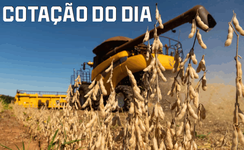 Cotação do Dia