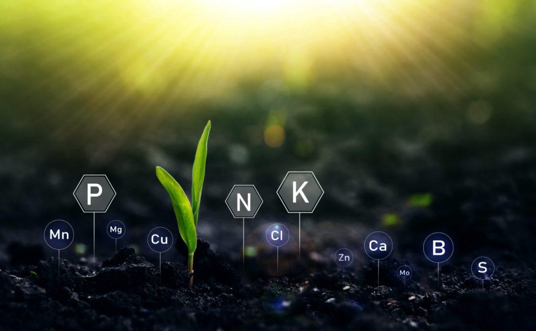 Mercado brasileiro de fertilizantes deve se recuperar em 2023