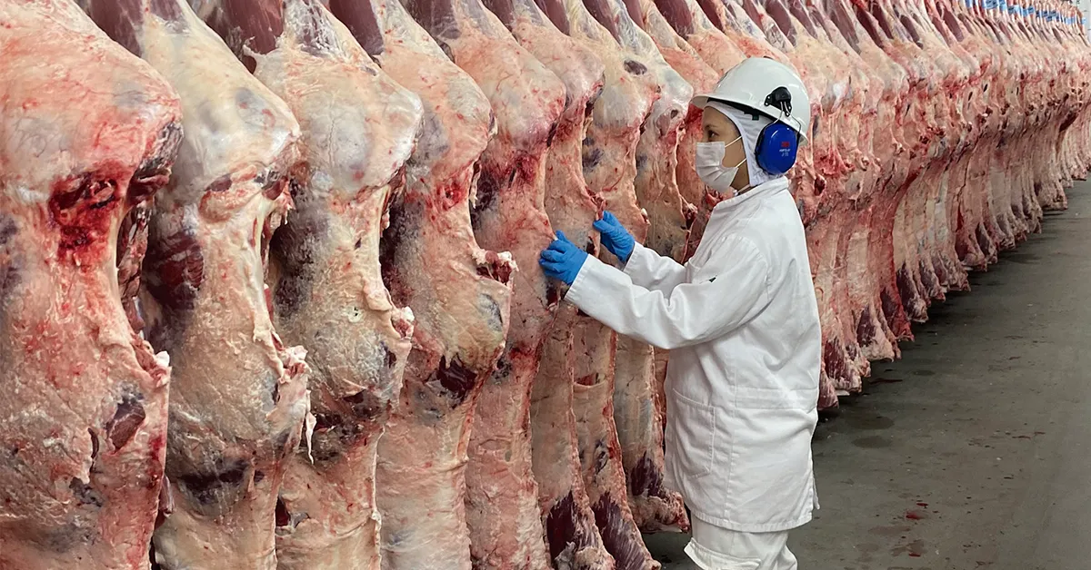 Preço médio da carne bovina exportada registra recuo de 26,4% na terceira semana de agosto/23