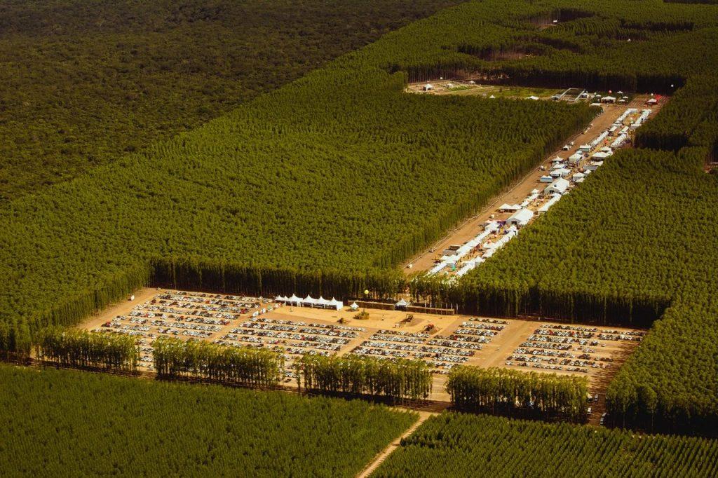 Reflore MS marca presença no maior encontro florestal do Brasil, a Expoforest