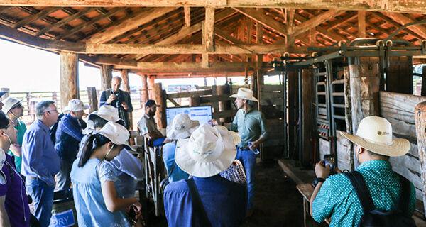 Com US$ 7,8 bilhões em exportações do agro, MS recebe 9ª edição do AgoBrazil.