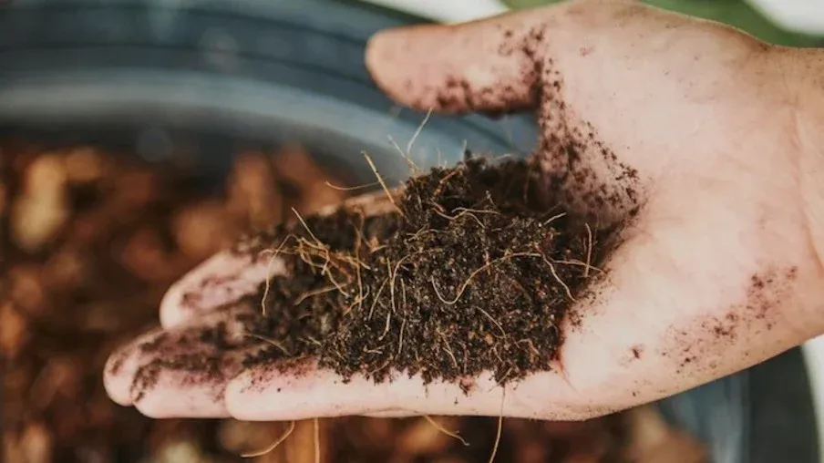 Dependência de fertilizantes é grande desafio para o Brasil