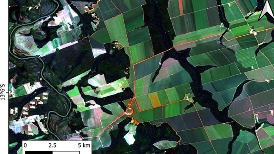 IA eleva precisão no mapeamento da intensificação agrícola no Cerrado