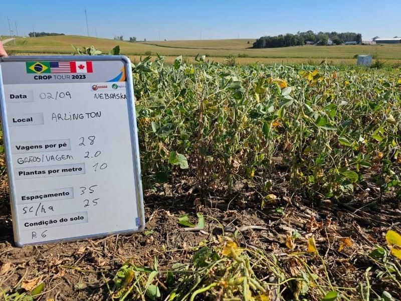 Nebraska e partes do oeste de Iowa têm produtividade da soja comprometida por falta de chuvas
