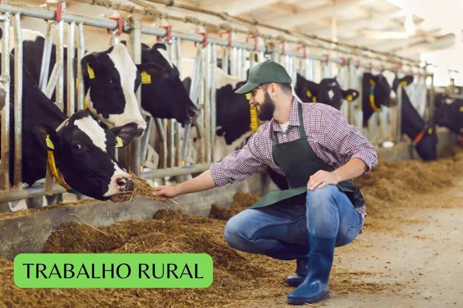 Número de trabalhadores atuando no agro bate recorde no Brasil