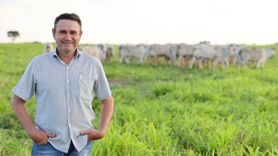 Produtor implanta integração lavoura-pecuária e melhora produtividade no campo