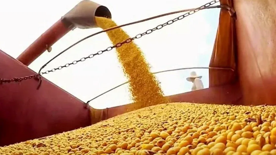 Soja: Chicago aguarda relatório da USDA sobre as condições das lavouras dos EUA