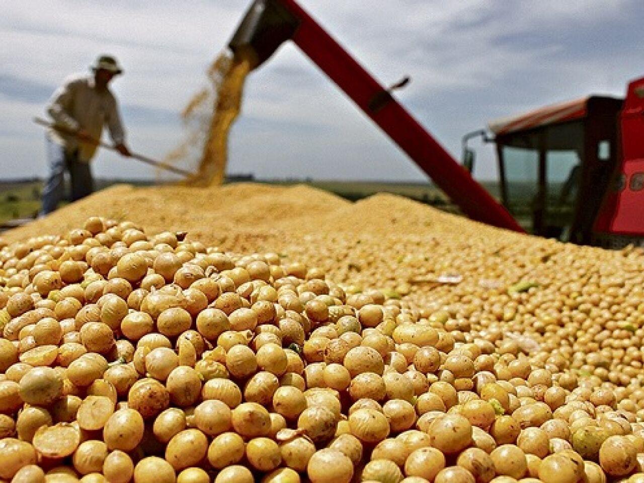 Soja: Mercado em Chicago aguarda pelo novo USDA nesta 3ª feira e opera com estabilidade Publicado em 12/09/2023 07:40