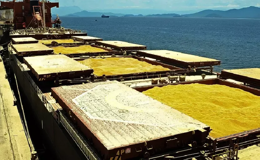 Maior exportador do mundo: Brasil fecha 2023 embarcando mais de 55,9 milhões de toneladas de milho