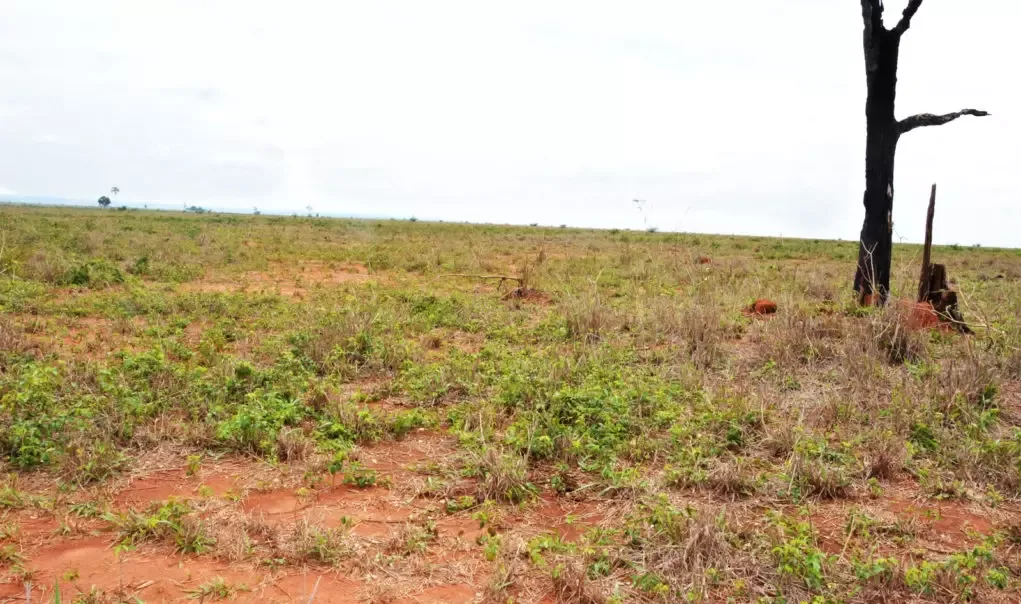 MS tem 4,3 milhões de hectares de área degradada, a 3ª maior do País