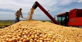 QUEBRA RECORDE: Aprosoja Brasil recomenda cautela e prudência aos produtores