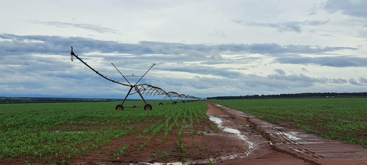 Governo prorroga vigência de benefício fiscal que reduz alíquota do ICMS da energia elétrica para irrigação em MS