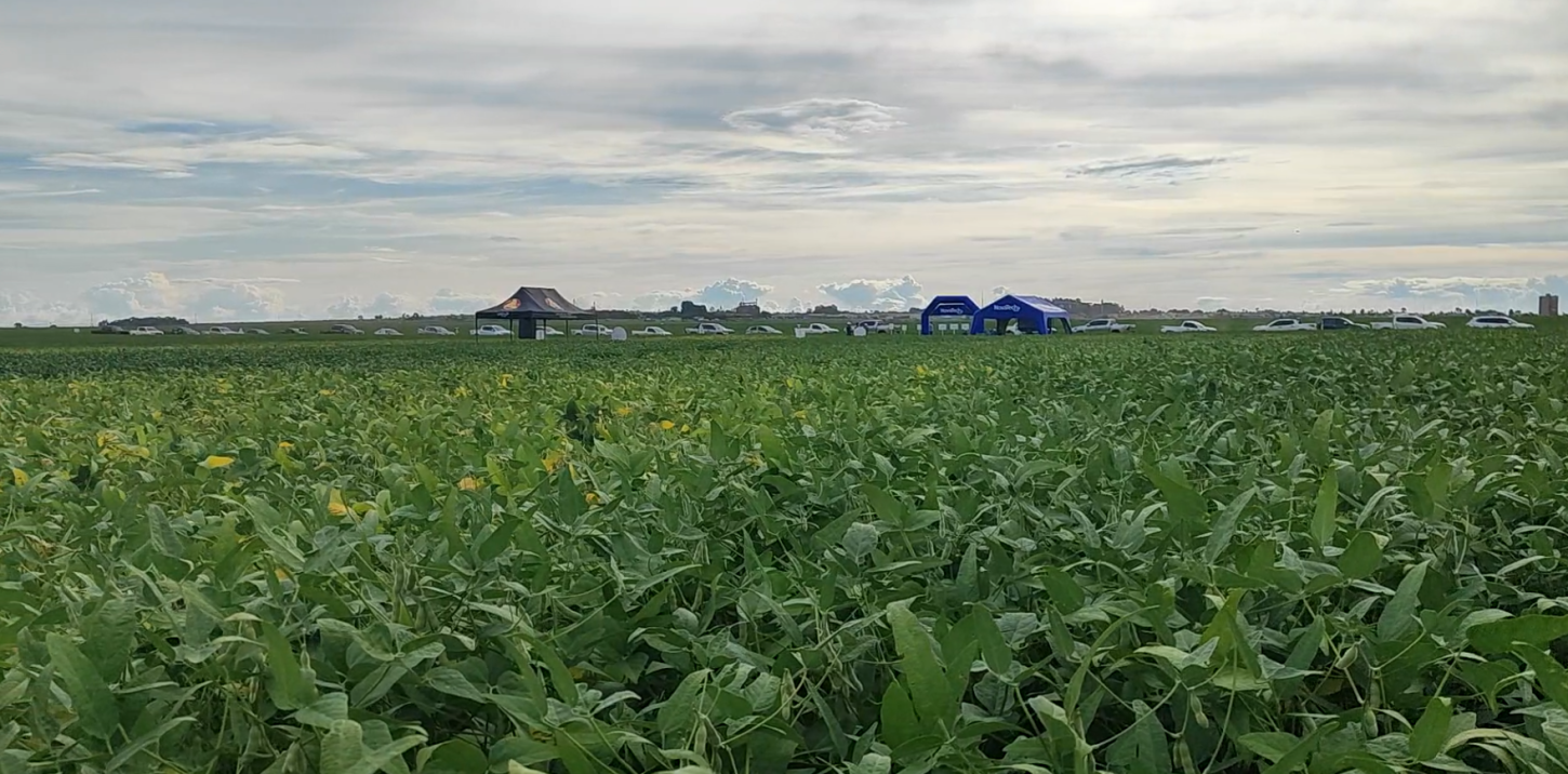 3º Dia de Campo da Agro Sol em Maracaju MS