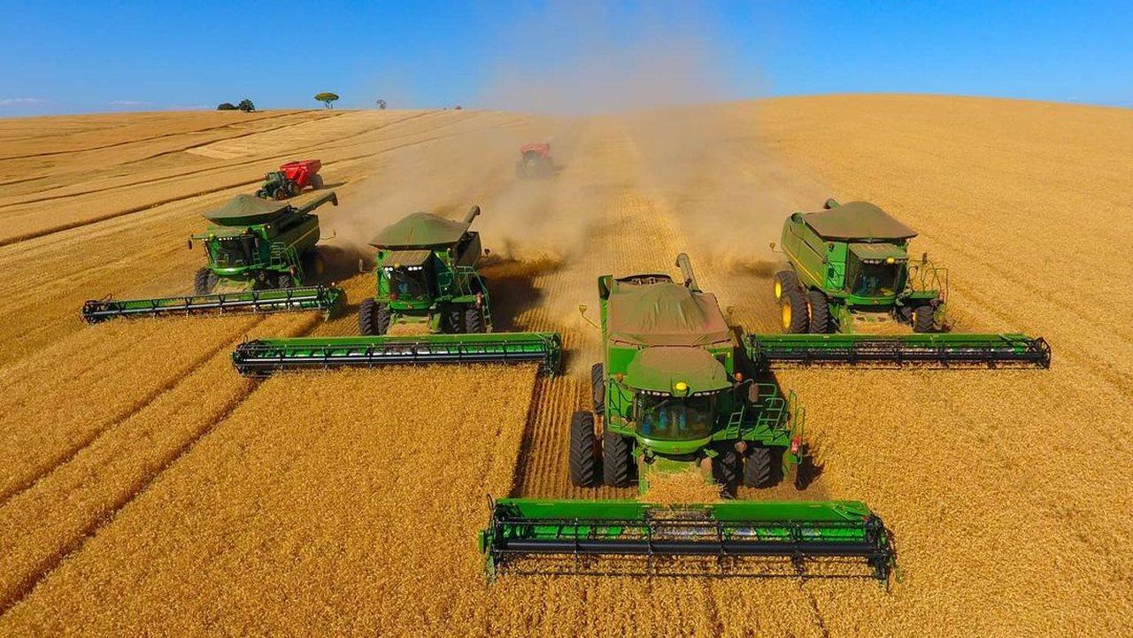 Fim das tarifas dos EUA pode virar o jogo para a soja brasileira