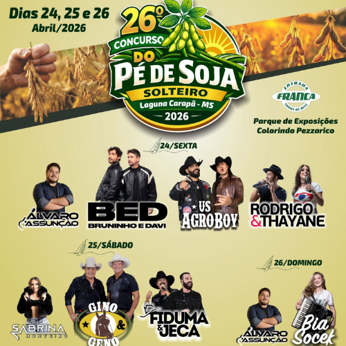 pé de soja solteiro