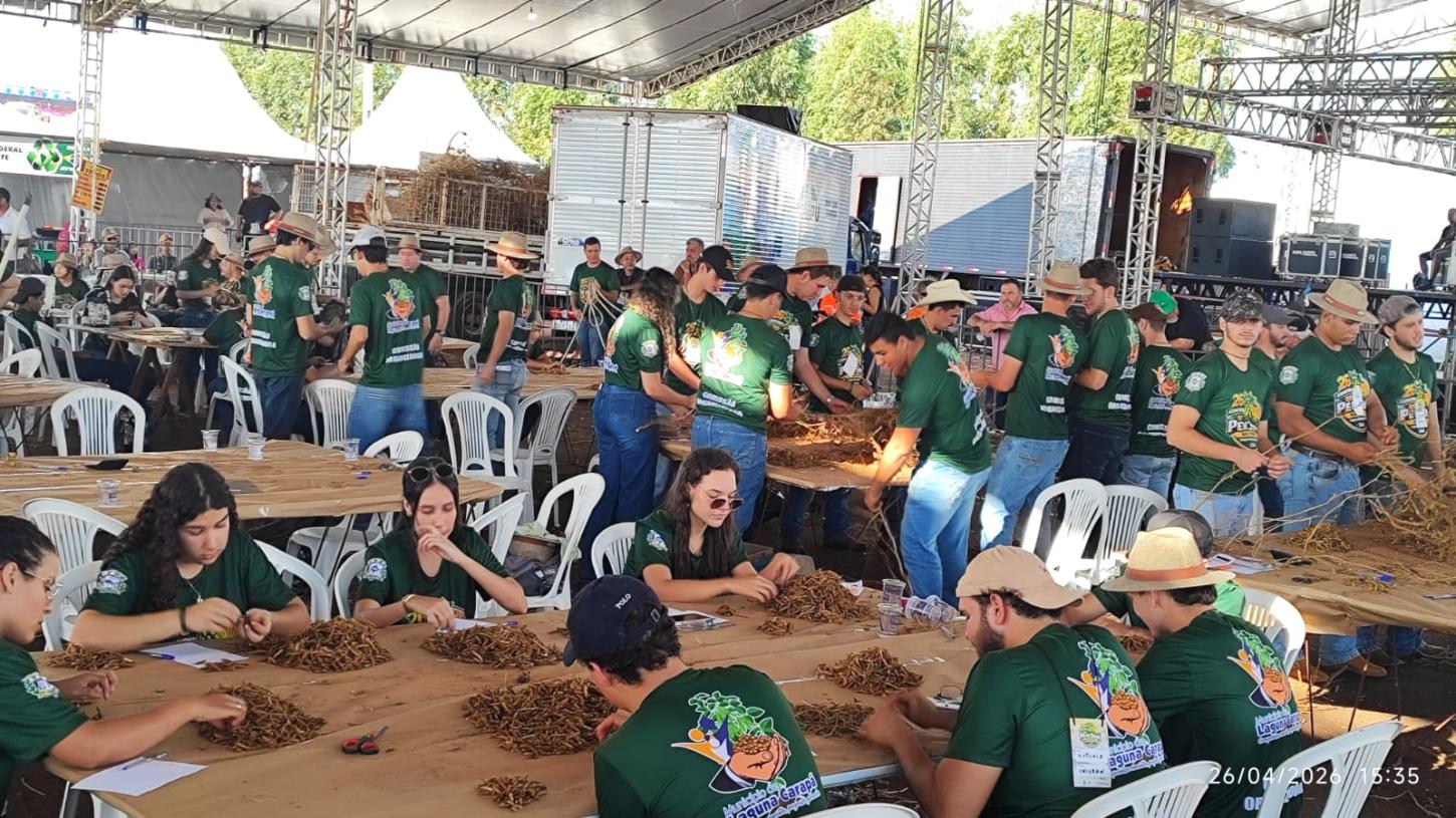 Acadêmicos da Unigran de Dourados atuaram na contagem das vagens, reforçando a organização, a transparência e o trabalho coletivo que marcaram o evento
