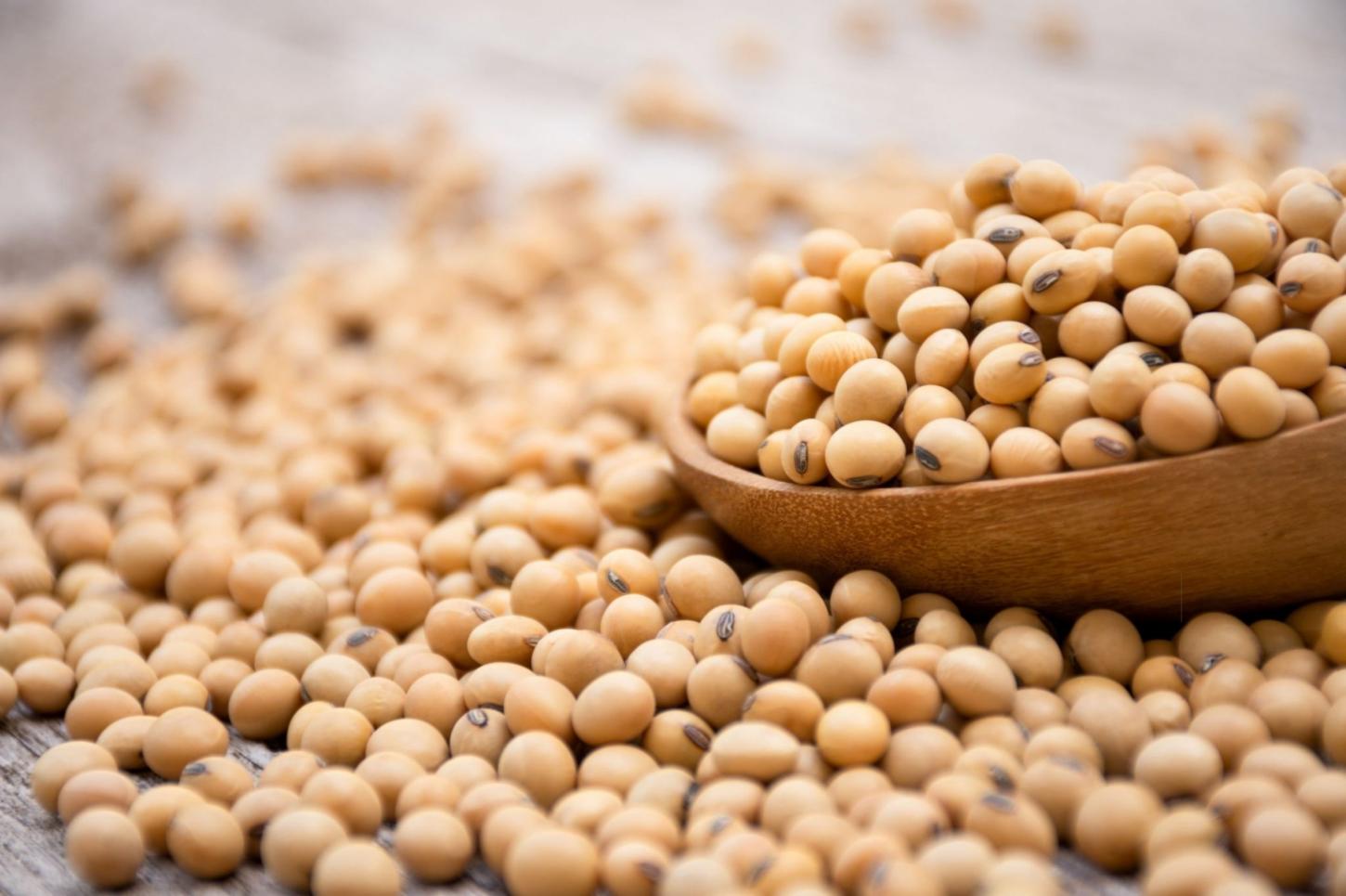 Queda da soja em Chicago coloca em atenção as negociações em MS, onde câmbio, frete e demanda também influenciam o preço recebido pelo produtor.